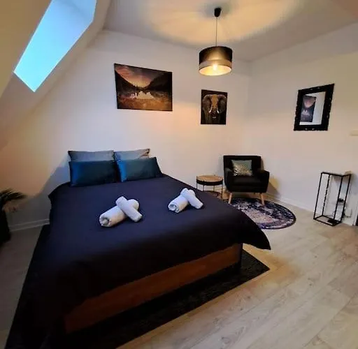 Confortable Studio Renove