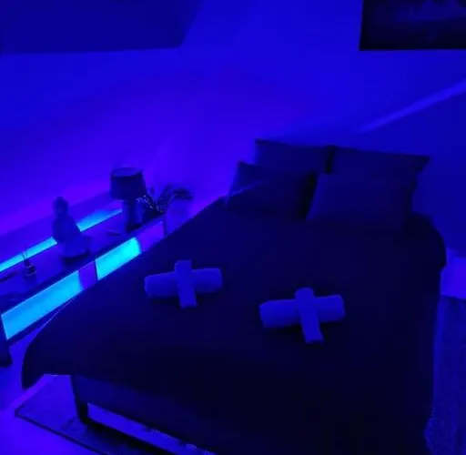 Confortable Studio Renove